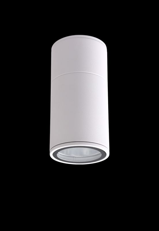 Светильник потолочный Arte Lamp Simplex A6662PL-1WH