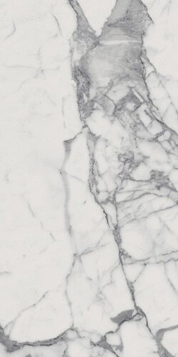 Charme Evo Statuario Nat Rett 45x90 (610010000783)
