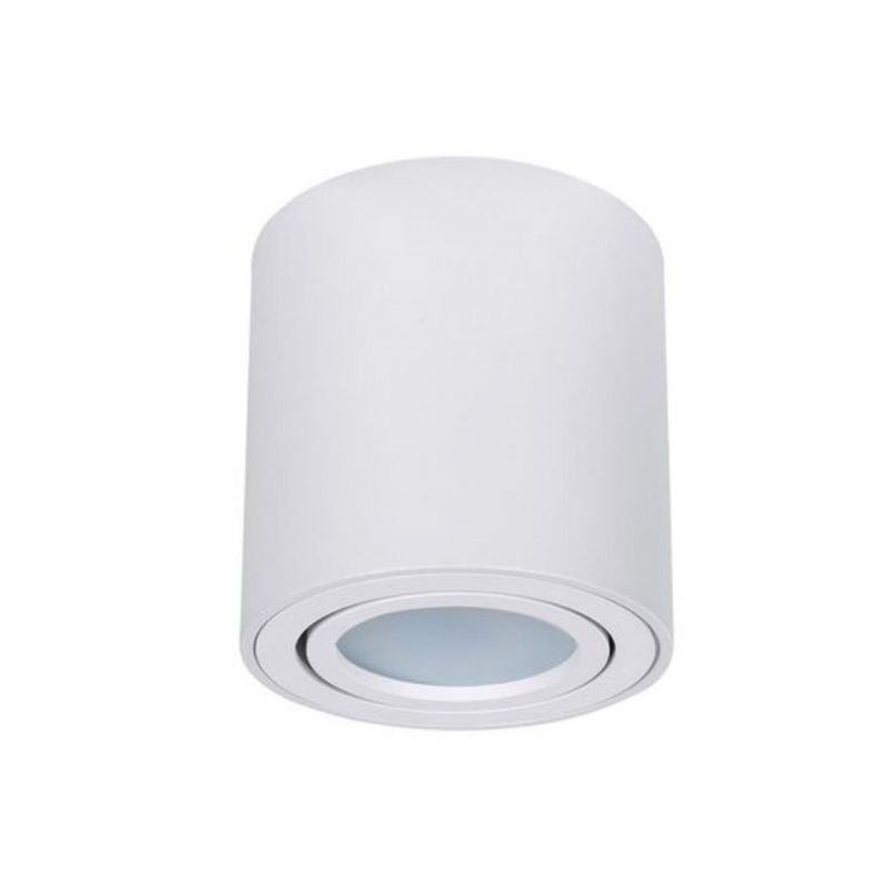 Светильник потолочный Arte Lamp FAFNIR A5047PL-2WH