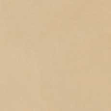 Imagine Beige Lev Rett 60x60/Имэджин Беж Полир Ретт 60х60 (610015000144)