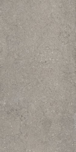 Discover Grey 60х120 Ret/Дискавер Грэй 60х120 Рет (610010002728)