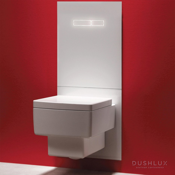 TECElux Комплект для установки унитаза-биде DURAVIT, с верхней панелью 430×555×16 мм, с механическим блоком управления стекло, цвет: хром