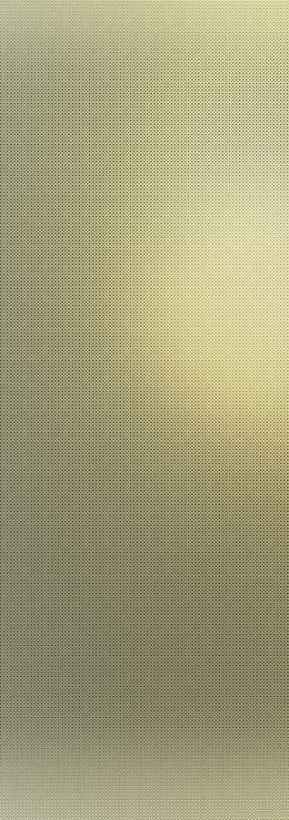 Filo Oro 100х300 3+ (LAMF002093) 100х300 Керамическая плитка