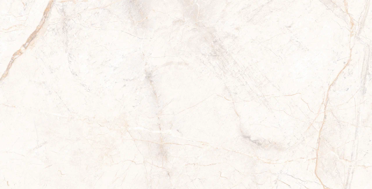 Керамогранит 60*120 MANAVGAT BONE POLISHED TECHNICAL PORCELAIN