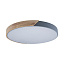 Потолочный светильник Loft It Axel 10004/36 Grey Потолочный светильник Loft It Axel 10004/36 Grey