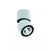 Спот Mantra COLUMBRETES 12W C0086