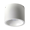 Светильник потолочный Odeon Light NINO 4279/1C