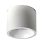 Светильник потолочный Odeon Light NINO 4279/1C Светильник потолочный Odeon Light NINO 4279/1C