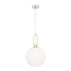 Подвесной светильник Loft It Parachilna 9975-C