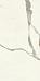 Marvel Calacatta Sublime 30x60 Lappato (AFV9) 30х60 Неглазурованный керамогранит Marvel Calacatta Sublime 30x60 Lappato (AFV9) 30х60 Неглазурованный керамогранит