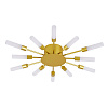 Люстра потолочная Arte Lamp MAPLE A1276PL-12GO
