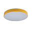 Потолочный светильник Loft It Axel 10002/24 Yellow Потолочный светильник Loft It Axel 10002/24 Yellow