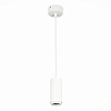 Светильник подвесной ST Luce Zoom ST600.533.10