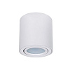 Светильник потолочный Arte Lamp FAFNIR A5047PL-2WH