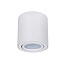 Светильник потолочный Arte Lamp FAFNIR A5047PL-2WH Светильник потолочный Arte Lamp FAFNIR A5047PL-2WH