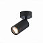 Потолочный светильник ST Luce DARIO ST303.402.01 Потолочный светильник ST Luce DARIO ST303.402.01