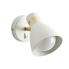Точечный светильник Arte Lamp IMAI A2265PL-1BK