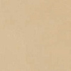 Imagine Beige Lev Rett 60x60/Имэджин Беж Полир Ретт 60х60 (610015000144)