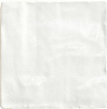 RIAD WHITE/10X10 (26045) 10x10 Керамическая плитка