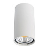 Потолочный светильник Odeon Light AQUANA 4206/1C