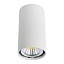 Потолочный светильник Odeon Light AQUANA 4206/1C Потолочный светильник Odeon Light AQUANA 4206/1C