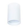 Светильник потолочный Arte Lamp FAFNIR A5047PL-2BK