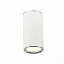 Потолочный светильник ST Luce CHOMUS ST111.507.01 Потолочный светильник ST Luce CHOMUS ST111.507.01