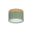 Накладной светильник LOFT IT Grape 10162 Green Накладной светильник LOFT IT Grape 10162 Green