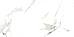 Керамогранит 60*120 CARRARA POLISHED TECHNICAL PORCELAIN Керамогранит 60*120 CARRARA POLISHED TECHNICAL PORCELAIN