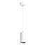 Светильник подвесной Arte Lamp CANOPUS A1516SP-1WH Светильник подвесной Arte Lamp CANOPUS A1516SP-1WH