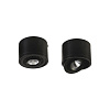 Настенно-потолочный светильник Odeon Light DUETTA 3895/1C
