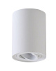 Светильник потолочный Crystal Lux CLT 039 CLT 039PL150 WH-WH