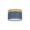 Накладной светильник LOFT IT Grape 10162 Blue