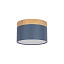 Накладной светильник LOFT IT Grape 10162 Blue Накладной светильник LOFT IT Grape 10162 Blue